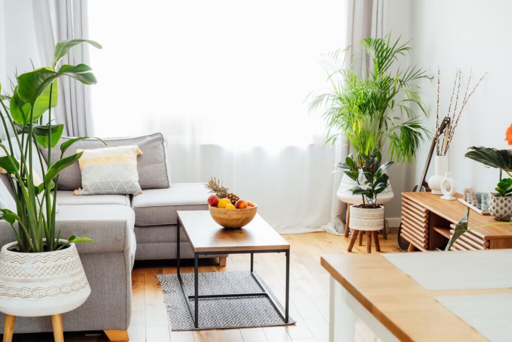 Plant Life: Adding Greenery and Freshness to Your First Apartment Decor