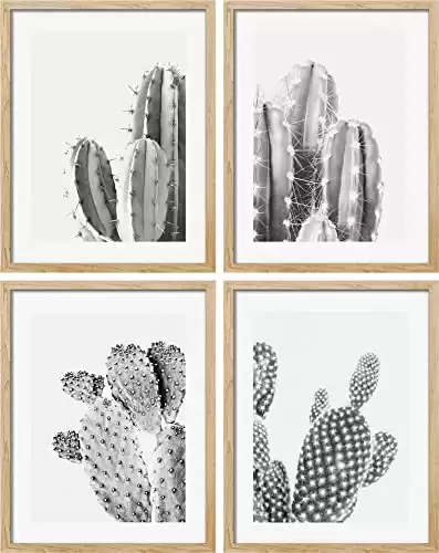 SIGNWIN Framed Black & White Saguaro Southwest Desert Tropical Cactus Wall Art, Set of 4 Floral Botanical Wall Decor Prints, Nature Wilderness Wall Décor for Living Room, Bedroom - 11