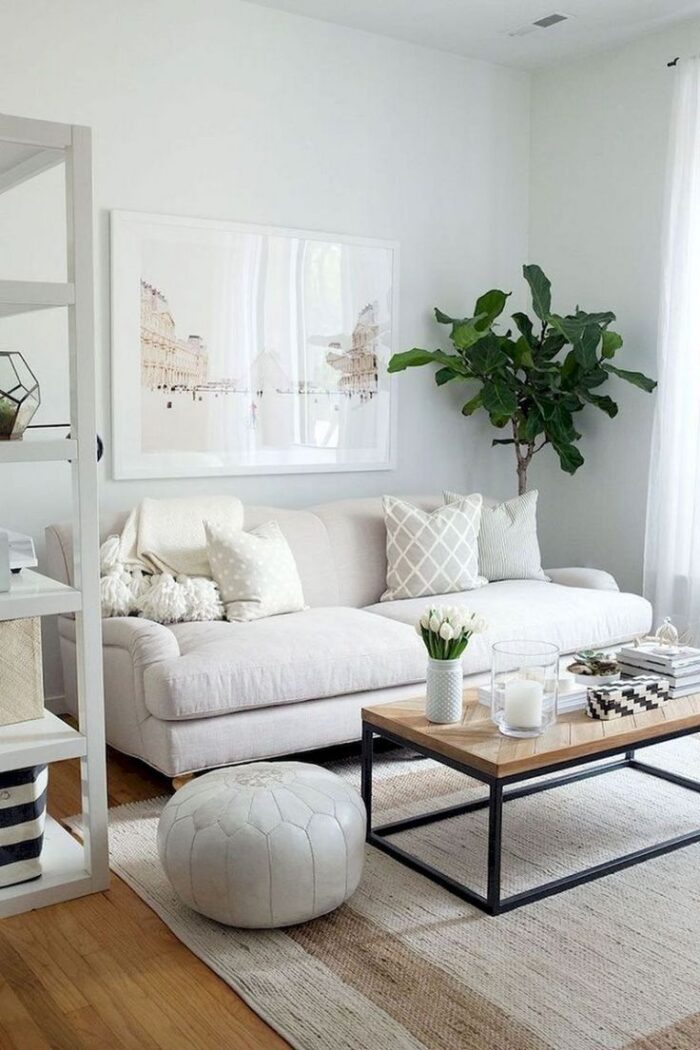15 Small Apartment Living Room Makeover Tips for Affordable Elegance